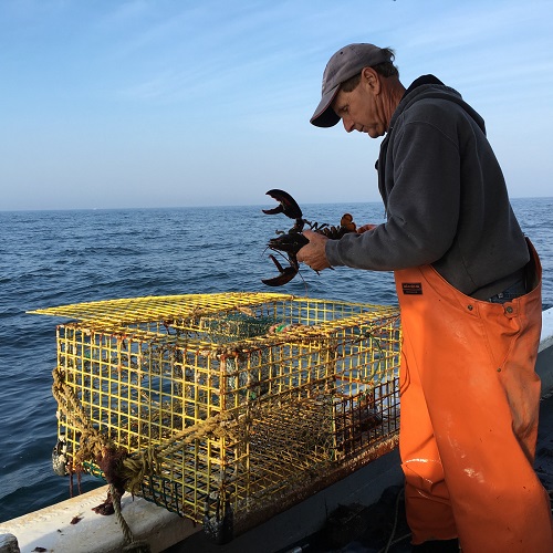 Wayne Iacono, a member of flotilla 9 fished for lobster off MV