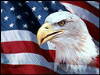 Eagle Head on American Flag