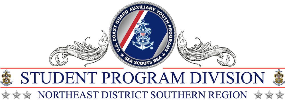 Image of Auxiliary Scouts Department Banner