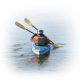 An example of  paddle boat