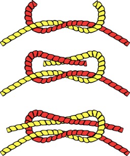 Shows how to tie a Square Knot 
