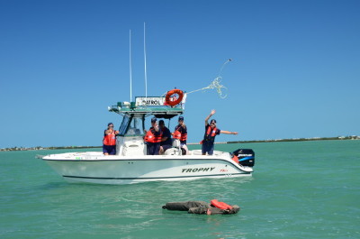 Ring buoy toss