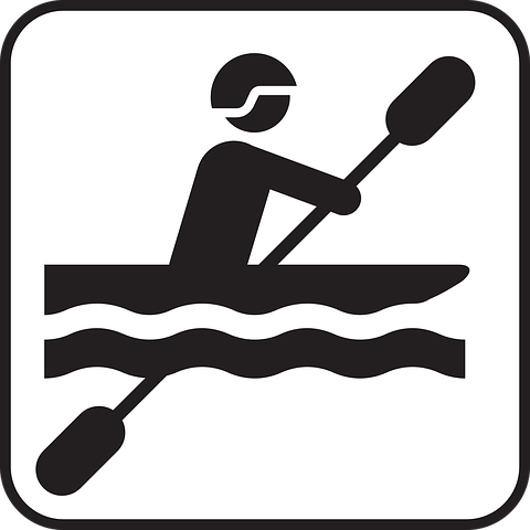 Graphic of a canoer