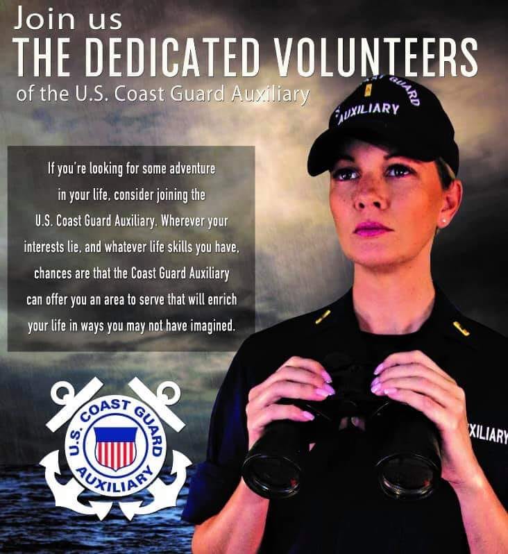 picture of 'The Dedicated Volunteers' poster