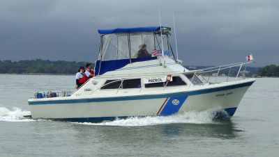 Division 31 On Patrol