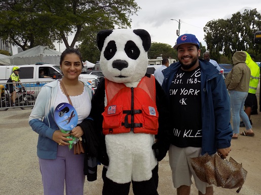 panda with couple