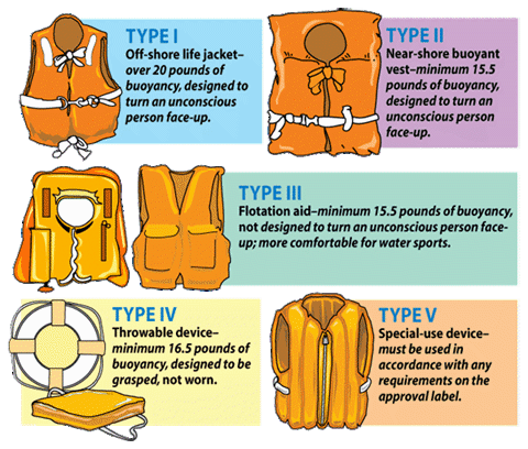 Image result for type 1 pfd graphic