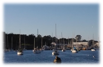 Monterey Harbor