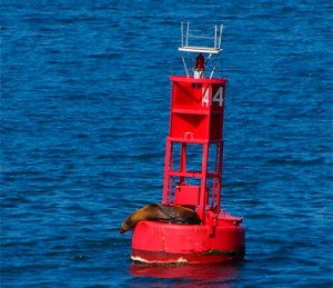 buoy at sea