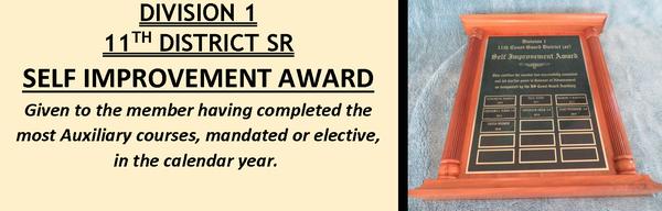 Self Improvement award