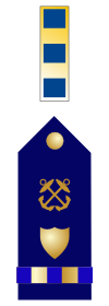CWO2 insignia