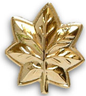 LCDR Insignia