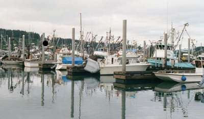 Kodiak Harbor