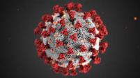 Image of Covid Virus