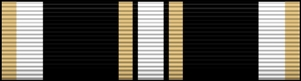 Auxiliary Operational Excellence Ribbon