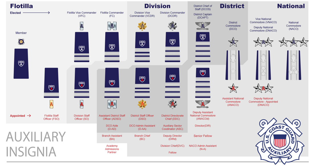 Auxiliary Insignia