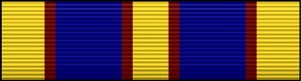 Auxiliary Distinguished Service Award