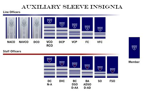 Auxiliary Sleeve Insignia