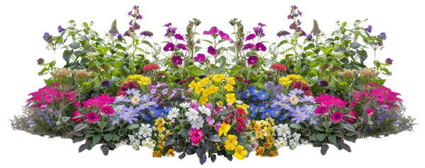 A bed of flowers for 2025