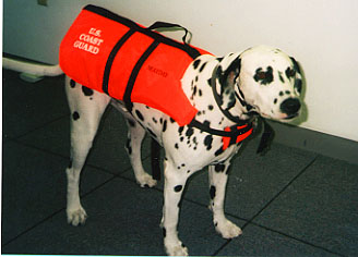 Image of a dog, the CG station mascot with life jacket