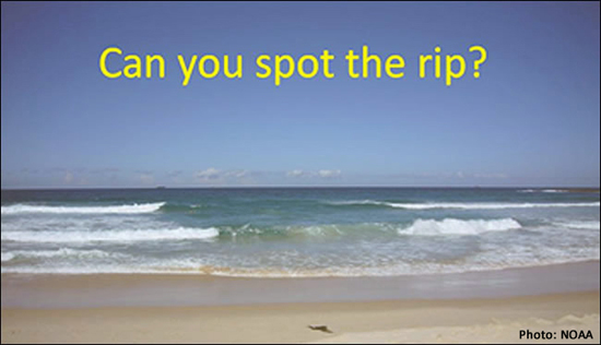 How to Spot a Rip Current, wind wave, foam, shore, seaweed, rip current