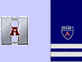 ADSO, 2 stripes