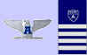 DCOS (old District Vice Commodore), 4 stripes