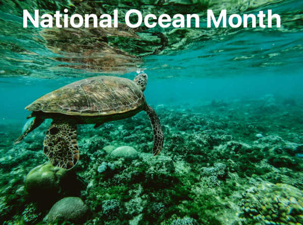 National Ocean Month