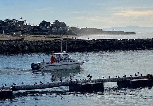 Frist patrol underway after Covid shutdown in 2020