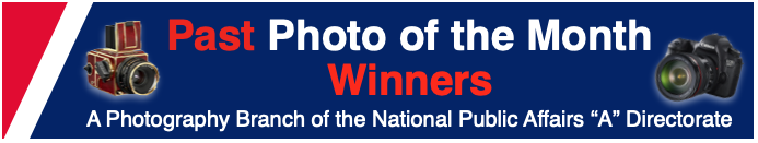 Past Photo of the Month Winners Banner